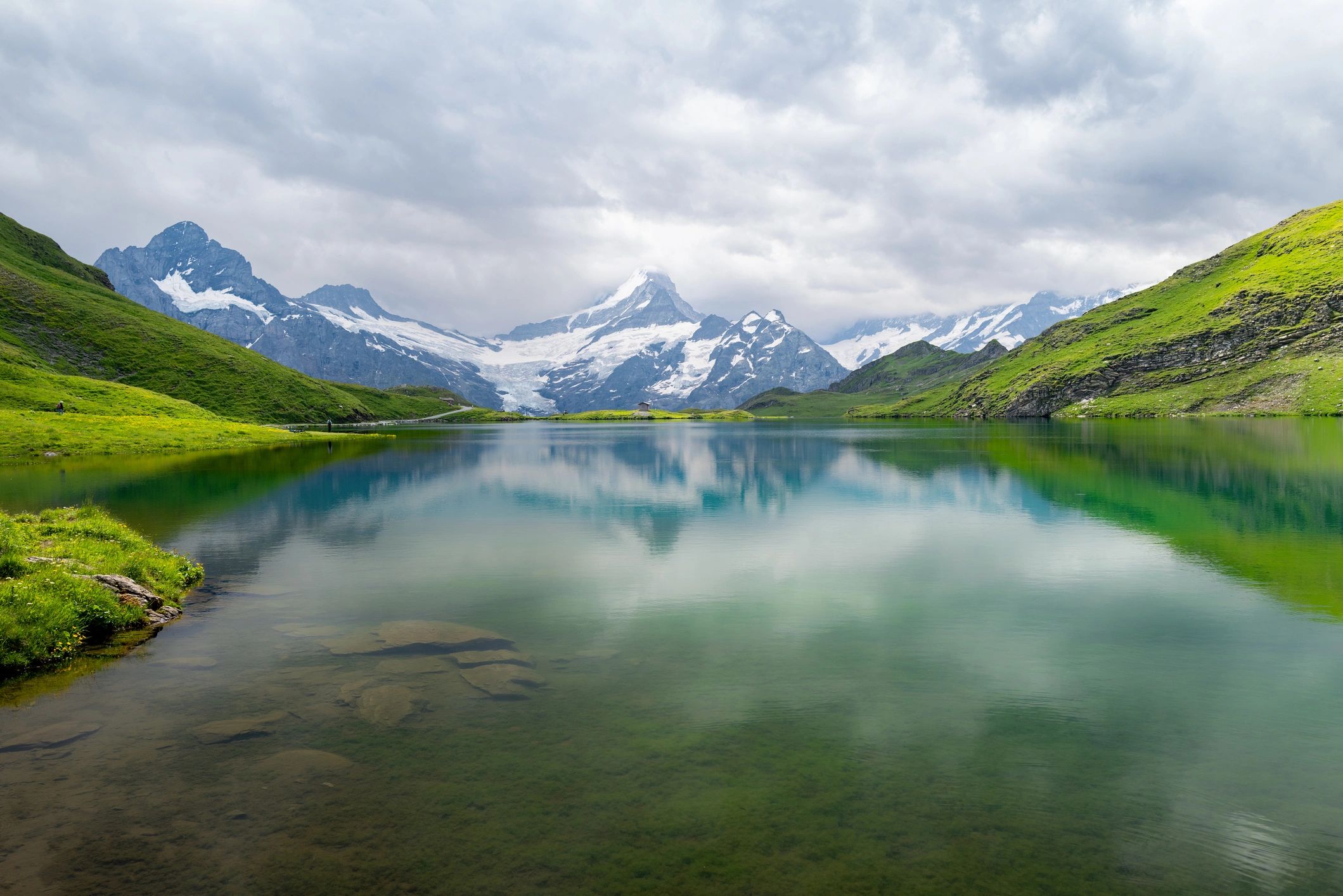 Bachalpsee lake with Swiss Alps in the background