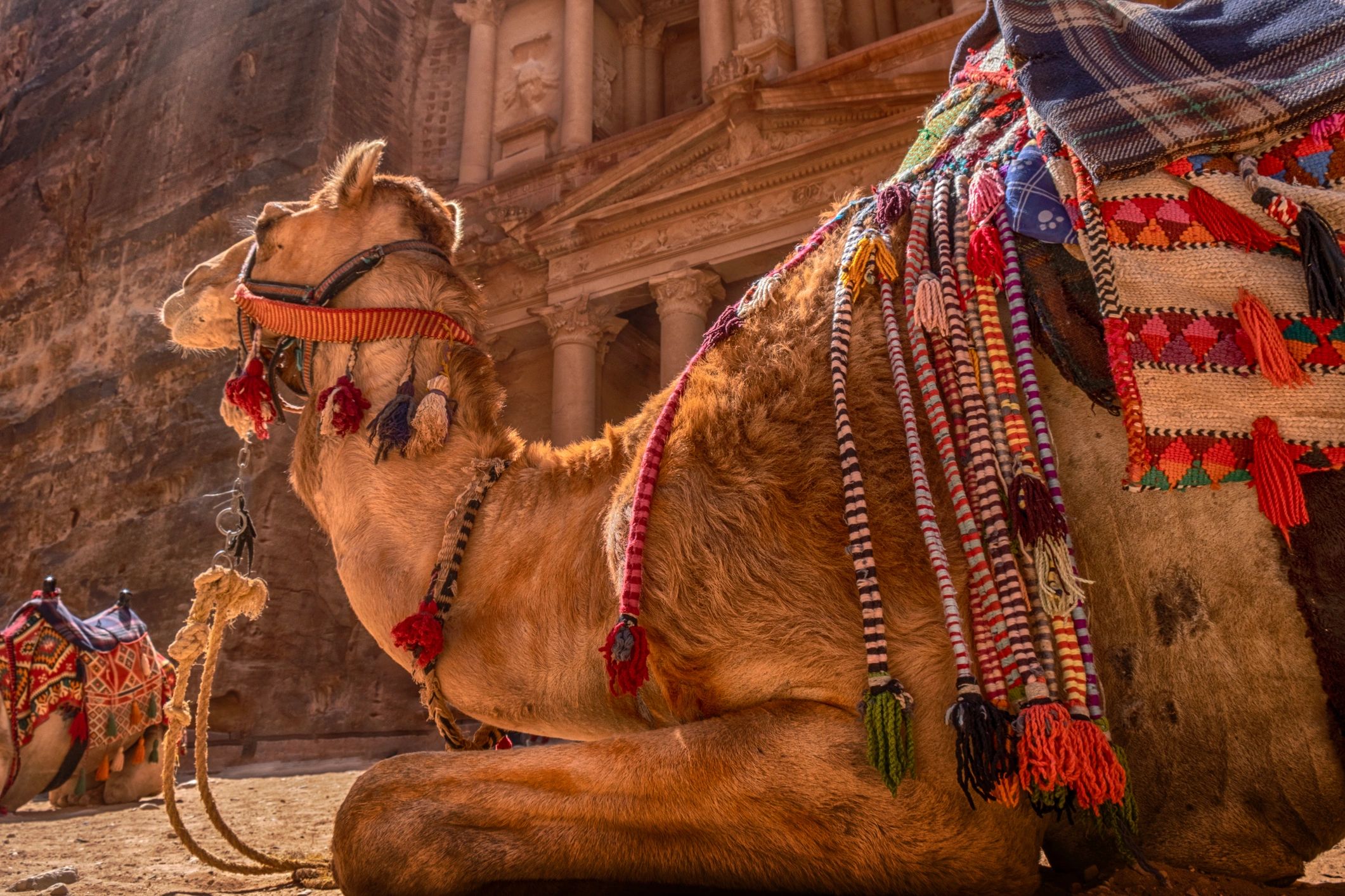 Petra Treasury in Jordan